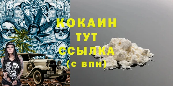 хмурый Семилуки